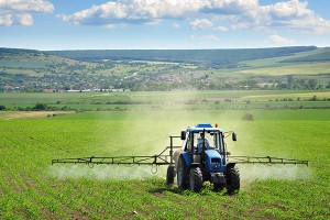 פתרונות אריזה לחקלאות