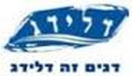 דלידג-258x150